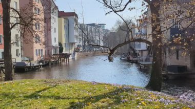 Eski tarihi binaların cepheleri Gera Nehri kıyısında, Erfurt 'un başkentinde yer almaktadır. Eski kasaba. Önünde küçük çiçekler olan yeşil çimenler. Almanya.
