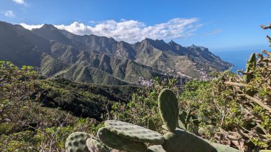 Yeşil dağlar ve uçurumlardan oluşan güzel bir manzara. Mirador Bailadero 'nun sahile ve Atlantik Okyanusu' na bakış açısı. Bulutlu mavi güneşli gökyüzü. Anaga Kırsal Parkı, Tenerife. Kanarya Adaları, İspanya.