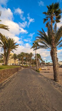 Playa de las Americas, Tenerife, İspanya - 7 Ocak 2025: Güneşin batışında palmiye ağaçları, güneş panjurları ve şemsiyeli güzel geniş kumlu plaj. Atlantik Okyanusu.