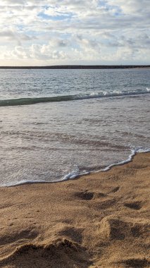 Gün batımında palmiye ağaçları, güneş ışıkları ve şemsiyeleri olan güzel, geniş kumlu bir sahil. Playa de las Americas, Tenerife, İspanya. Atlantik Okyanusu.