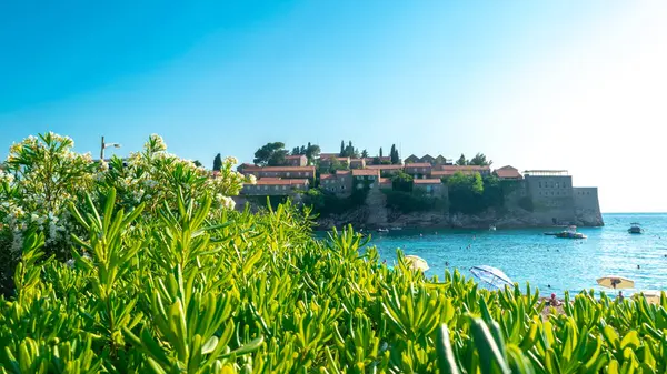 Karadağ kıyılarının sembol ve incisi olan küçük güzel ada ve Sveti Stefan kasabasına Milyonerler Adası da adı veriliyor. Önplandaki yaprakların yeşil arkaplanı. Yaz manzarası. Adriyatik Denizi. Karadağ.