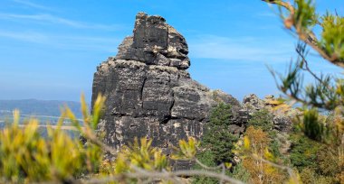 Arka planda mavi güneşli bir gökyüzüne karşı Papststein kayasının görüntüsü ve ön planda bulanık yeşil çam dalları ile çerçevelenmiş. Sakson İsviçre Ulusal Parkı 'nın kumtaşı dağları. Almanya.