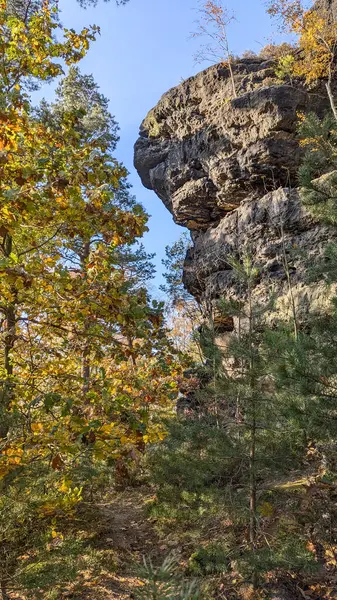 Sakson İsviçre Ulusal Parkı 'nın kumtaşı dağlarının devasa kayaları. Zirkelstein Tepesi. Yakın plan. Arka planda mavi güneşli gökyüzü. Altın sonbahar. Almanya.