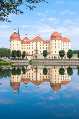 Küçük Sülün Sarayı olarak da bilinen güzel Moritzburg Kalesi 'nin manzarası güneşli bir günde mavi gökyüzüne karşı gölü çevreleyen suya yansımaktadır. Saksonya. Almanya.