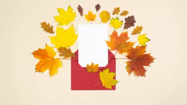 Güzel, sonbahar sarısı, turuncu yapraklar ve kırmızı zarfın yanında beyaz kağıt. Metin için şablon. Tebrik kartı. Sonbahar geliyor. Bej arkaplan.