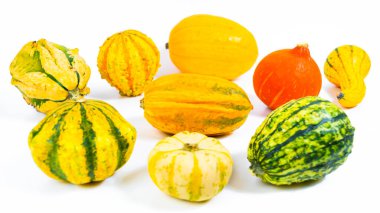 Beyaz arka planda farklı şekillerde balkabakları. Sonbahar konsepti.