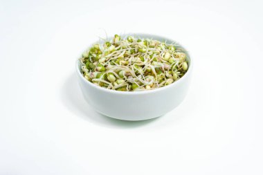 Bowl of sprouted mung beans (Vigna radiata) with small roots for eating. White background. Close up. Concept of diet, vegetarianism, vegan, healthy products and proper nutrition. Copy space.