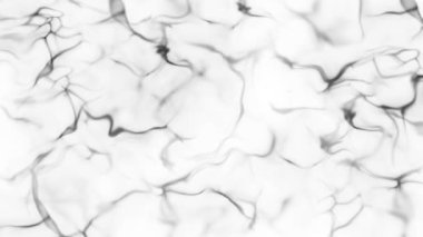 Beyaz arkaplan üzerine Siyah Dalgalı Mermer dokusu