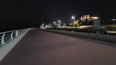 Gece görüşünde nehir manzaralı Palm Jumeirah şehri