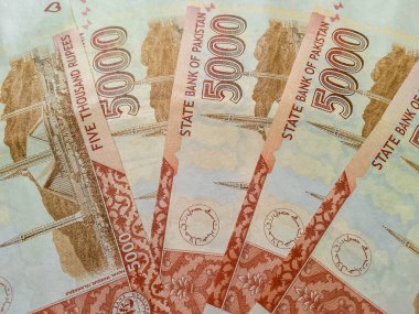 Pakistan Para Birimi 5.000 Rupi
