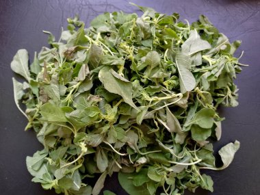 Yapraklı yeşiller - ıspanak (Botanik Adı - Spinacia oleracea )