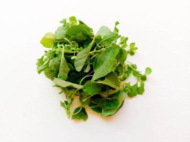 Yapraklı yeşiller - ıspanak (Botanik Adı - Spinacia oleracea)