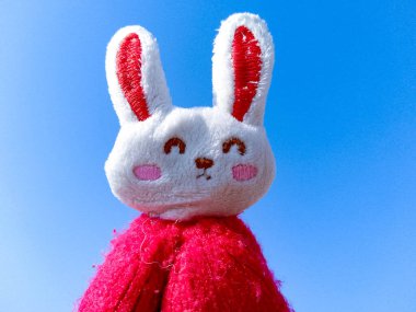 Beautiful Rabbit or Bear Doll for kids clipart