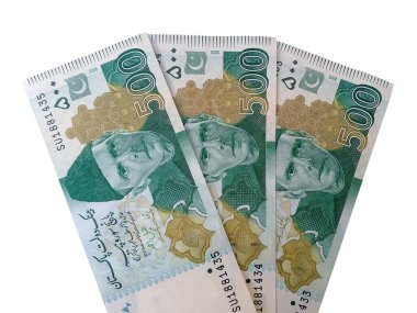 Pakistan Para Notları - Pakistan 500 Rupi Beyaz arka planda izole