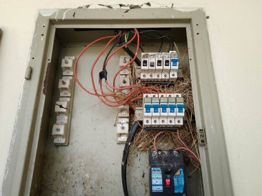 Elektrik frenleri olan ana elektrik panosu, ana elektrik borusunun içine yuva yapmış kuş yuvalarıyla kaplıdır.