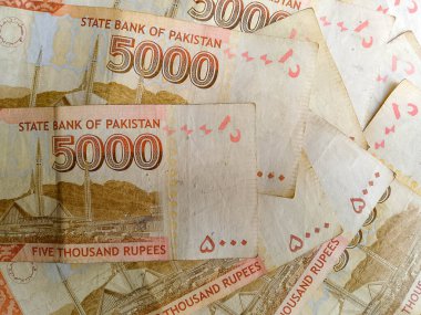 Pakistan Para Birimi Beş Bin Not