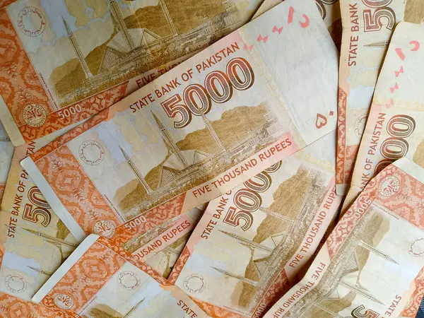 Pakistan Para Birimi Beş Bin Not