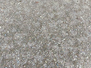 kanal 'ın nehir kıyısında ıslak kum.