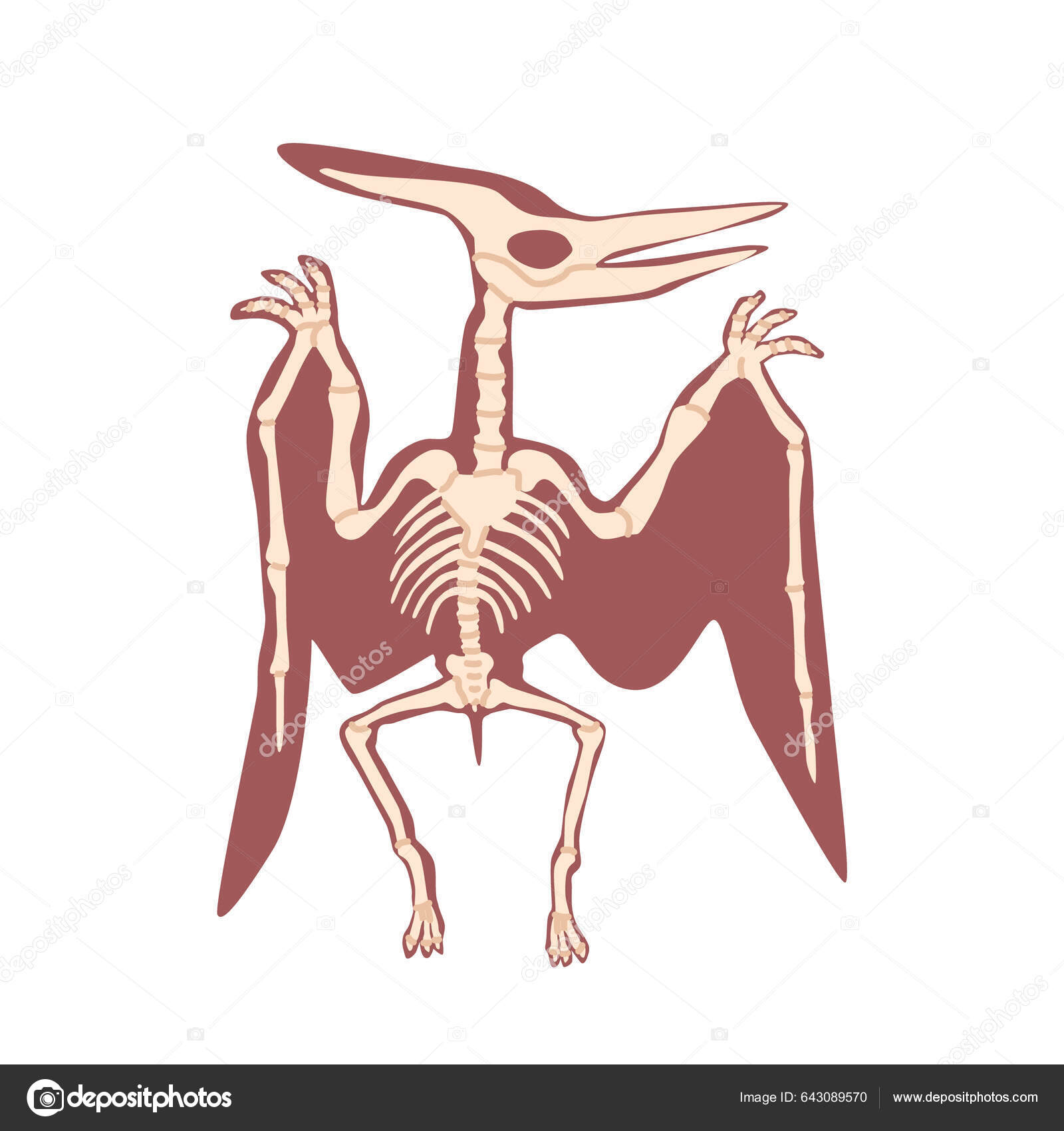 Forma de pássaro dinossauro pterodáctilo - ícones de animais grátis