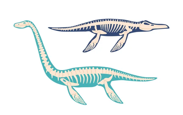 Elasmosaurus Mosasaurus Dinosaur Skeleton Bones Fossils Isolated Plesiosaur Late Cretaceous — Stock Vector