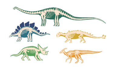 Set of Ancient Dinosaur Bones, Skeleton Fossils For Scientific Articles, History Books, And Materials about Discovery Of Uncovering The Secrets Of Ancient Prehistoric Life. Cartoon Vector Illustration