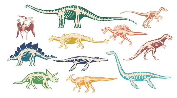 Dinozor Fosili Antik Kalıntılar Tarih Öncesi Yaratığın Skeleti Tarih Öncesi — Stok Vektör