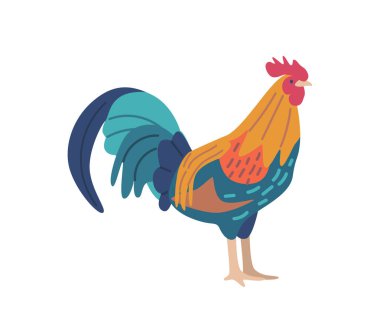 Rooster With Its Vibrant Feathers And Sharp Beak Isolated On White Background. Farm Animal, Fowl, Poultry Concept with Multicolored Proud And Confident Rooster. Cartoon Vector Illustration
