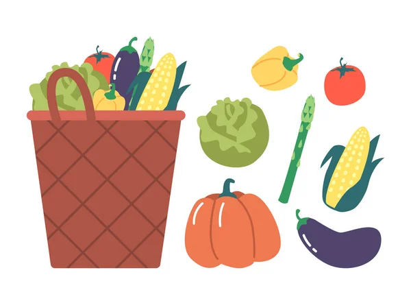 新鮮な農場の野菜 バスケット秋のクロップコーン キャベツ アスパラガス ナスでいっぱいです ベルペッパー 白の背景に隔離されたカボチャの感謝祭の収穫 漫画ベクターイラスト — ストックベクタ