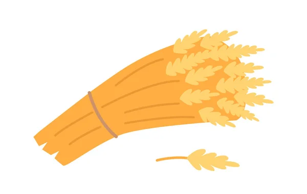 小麦の葉は白い背景に隔離されました 豊かさと繁栄の象徴 茎に一緒にバインドされたコムギの茎の束 そして栄養 漫画ベクターイラスト — ストックベクタ