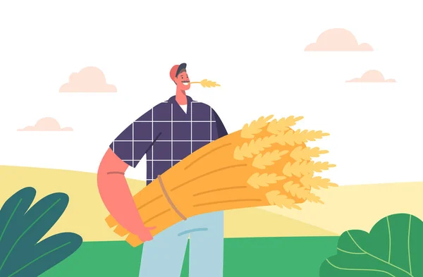 Характер Фермерів Стоїть Польовому Зберіганні Прісної Пшениці Руках Концепція Важкої — стоковий вектор