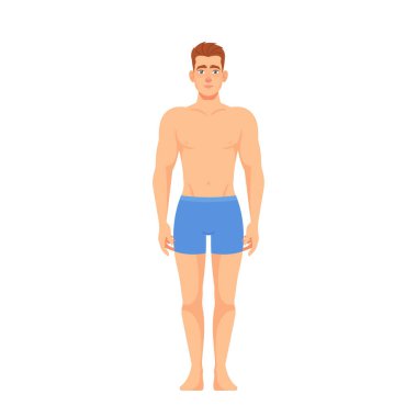 İç çamaşırlı adam, beyaz arka planda izole edilmiş olarak duruyor. Anatomi eğitimi, cinsiyet, cinsellik ve moda, iç çamaşırı reklamcılığı veya kendini ifade etme kavramı. Çizgi film Vektör İllüstrasyonu