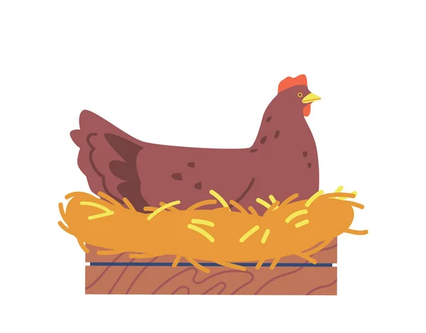 葉で作られた巣の上に羽状の鶏白い背景に隔離されたままです 持続可能な農業または農業を促進するための農村概念 漫画ベクターイラスト — ストックベクタ