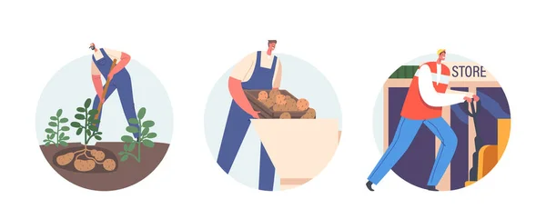 工人生产土豆生产孤立的回合图标或Avatars 男性角色在农场 装卸和运送箱子到仓库时穿着统一的挖掘裂谷蔬菜 卡通矢量图解 — 图库矢量图片