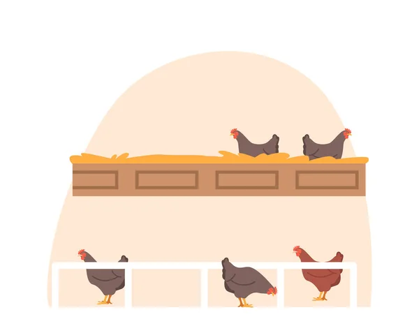 Pollo Nel Nido Cucina Con Fieno Immagine Fornisce Sentimento Autentico — Vettoriale Stock