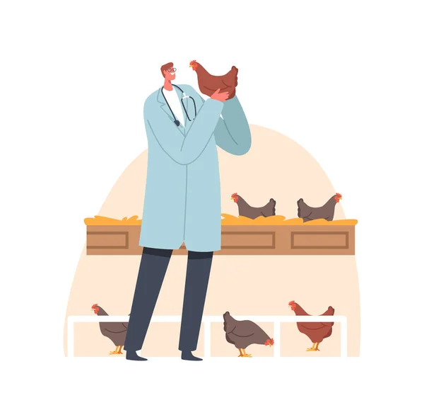 Veterinary Doctor Character Examining Caring Chicken Livestock Bienestar Animal Agricultura — Vector de stock