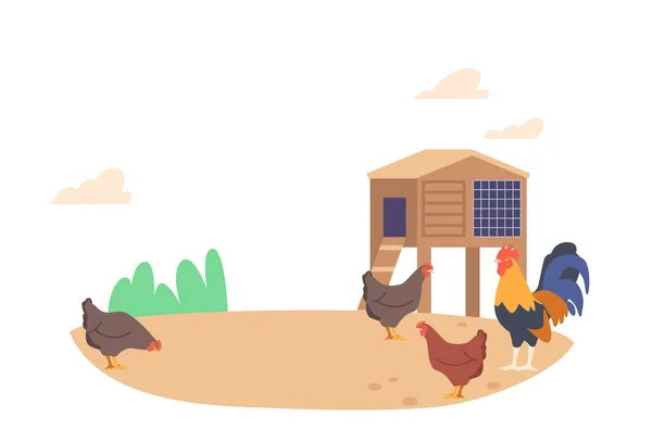 Poulet Marchant Sur Ferme Rustique Concept Rural Life Agriculture Hens — Image vectorielle