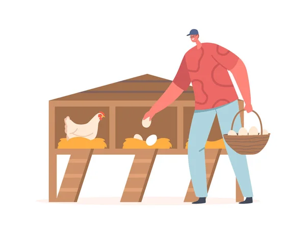 鶏の畜産場で卵を集める男 農業の仕事 養鶏や農業関連の製品を描く クープから卵を拾う農家のキャラクター 漫画人ベクトルイラスト — ストックベクタ