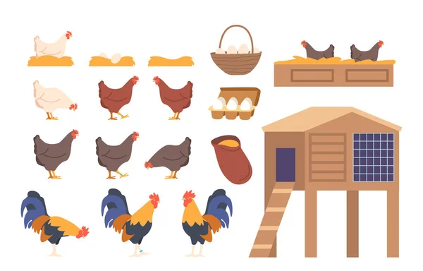 2019 Set Icons Chicken Roosters Coop Eggs Ideal Promoting Farming — 스톡 벡터