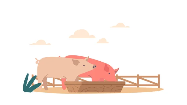 Pigs Gather Trough Eat Squeal Snort Consume Feed Creating Noisy — Stock Vector