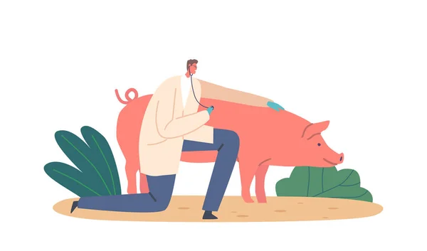 Tierarzt Männlicher Charakter Verwendet Ein Stethoskop Die Gesundheit Des Schweins — Stockvektor
