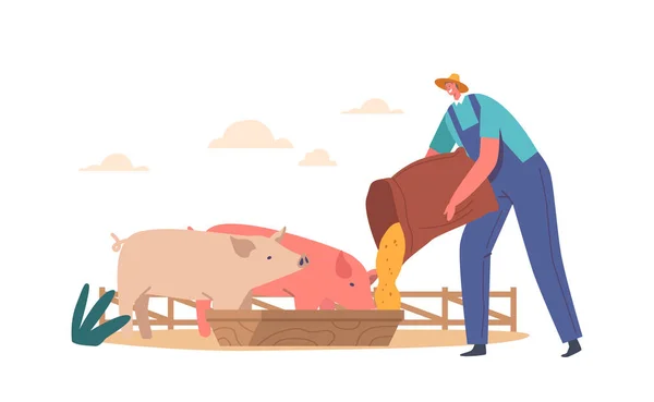 若い男の餌豚の粗粒を入れて 農場で家畜と仕事中の男性農家の文字 牧場主夏時間活動 漫画人ベクトルイラスト — ストックベクタ