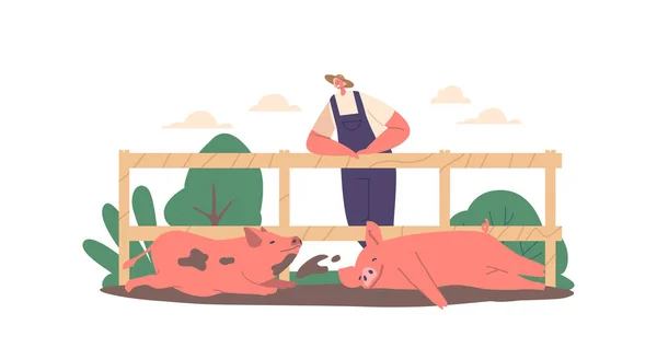 Фермер Чоловічий Персонаж Стоїть Паркані Спостерігаючи Свинями Сидять Грязі Свині — стоковий вектор