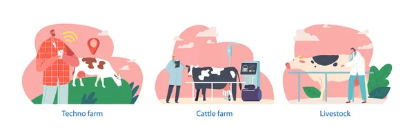 Bauern Männliche Weibliche Charaktere Arbeiten Vieh Mit Kühen Überprüfen Die — Stockvektor