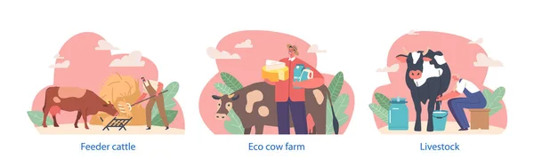 农民在奶牛 生产天然奶牛场生产中的角色在白背景下的分离元素 卡通人物矢量图解 — 图库矢量图片