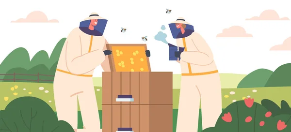 蜂窝状吸烟蜂房中身穿防护服 头戴帽子的蚜虫特征 养蜂养蜂业 农民生产蜂蜜 养蜂天然产品 卡通矢量图解 — 图库矢量图片