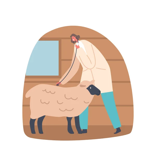 兽医医生女性性格检查羊的健康和健康 检查心跳 管理疫苗和药物以预防疾病和伤害 卡通人物矢量图解 — 图库矢量图片