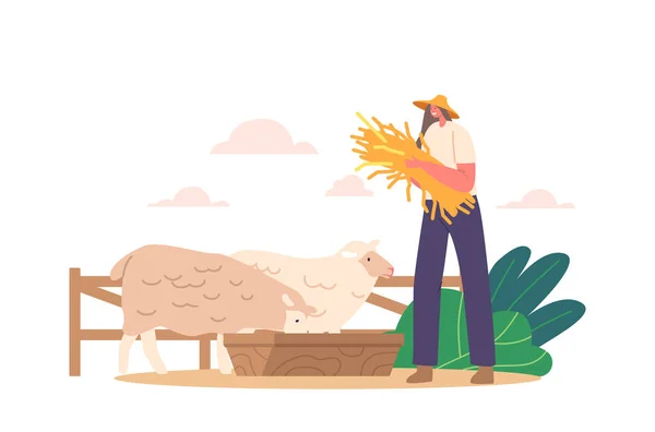 Farmer Female Character Tends Sheep Flock Fresh Hay Animals Happily — Stock Vector