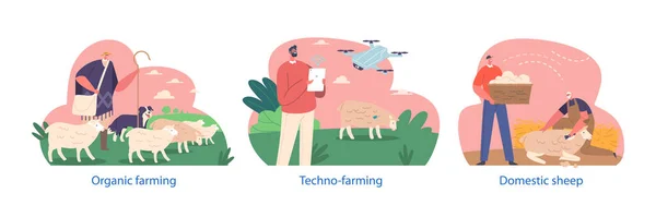 農家のキャラクター羊の繁殖と育成 群れの健康管理 食料とシェルターの提供 繁殖と飼育の管理 人々は農業のための革新的な技術を使う 漫画ベクターイラスト — ストックベクタ