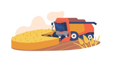 Tarlada buğday biçen makine. Verimli Mekanize Süreç, olgunlaşmış buğday mahsullerini toplamak, verimliliği artırmak ve el işçiliğini en aza indirmek için özel ekipman kullanılıyor. Çizgi film Vektör İllüstrasyonu