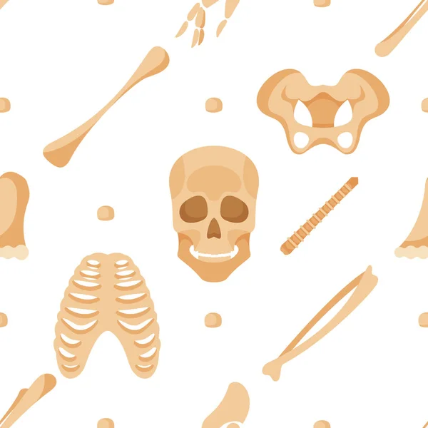 Бесшовный Узор Показ Скелетных Частей Черепа Грудной Клетки Костей Бедер — стоковый вектор
